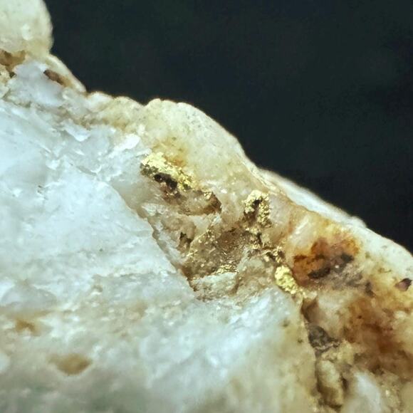 Gold on Quartz Specimen From Nevada City California - Found in 2025